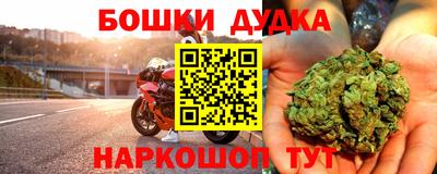 индика Тула