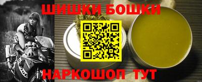 индика Тула