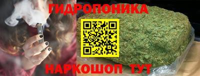 индика Тула
